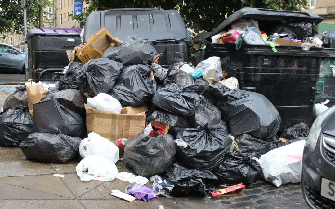 Prestation De Location Benne à Saint-Cyr-Sur-Mer