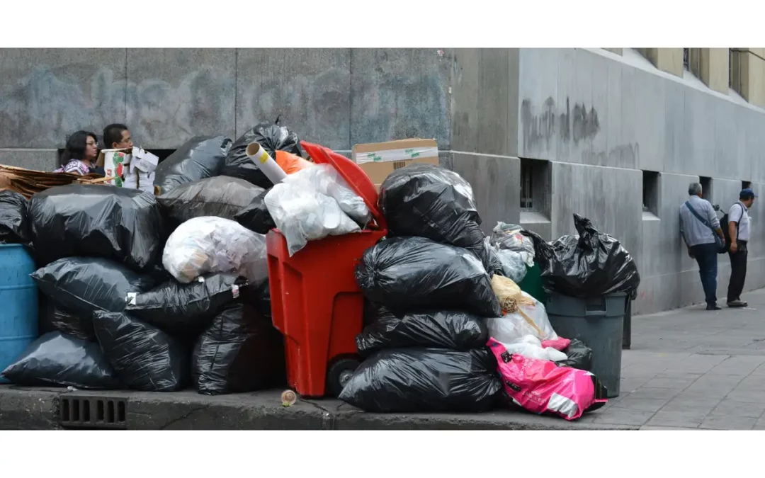 Location Benne à Saintes-Maries-De-La-Mer